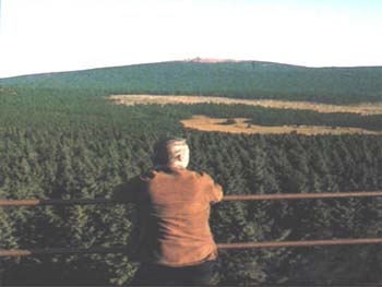 Der Harz