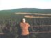 Harz